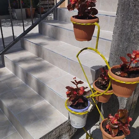 بيت للعطل House Natural