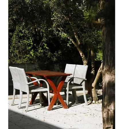 House Natural سيتلوك